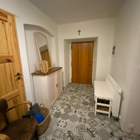 Statek Zisov Apartment Room photo